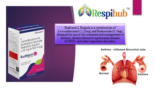 Buditerm L Respule at the best price in Respiratory pharma Franchise